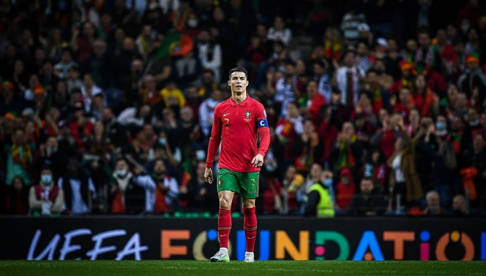 替代全程高 替代全程高